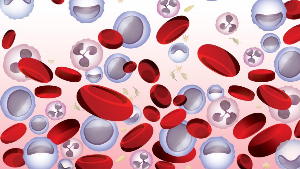 AdobeStock 238197578 MDSMPNAML 16 9