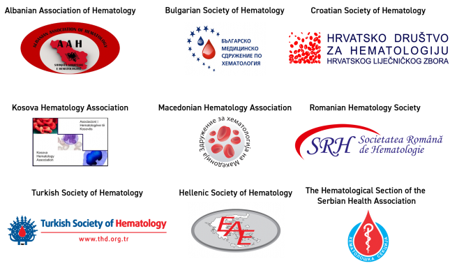 Balkan Day partner logos Oct1 FINAL