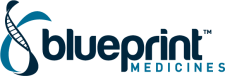 Blueprint Logo RGB full color 1