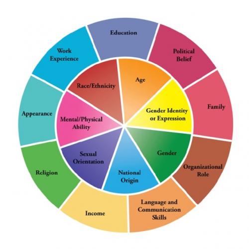 Diversity Wheel as used at Johns Hopkins University 12 Q640